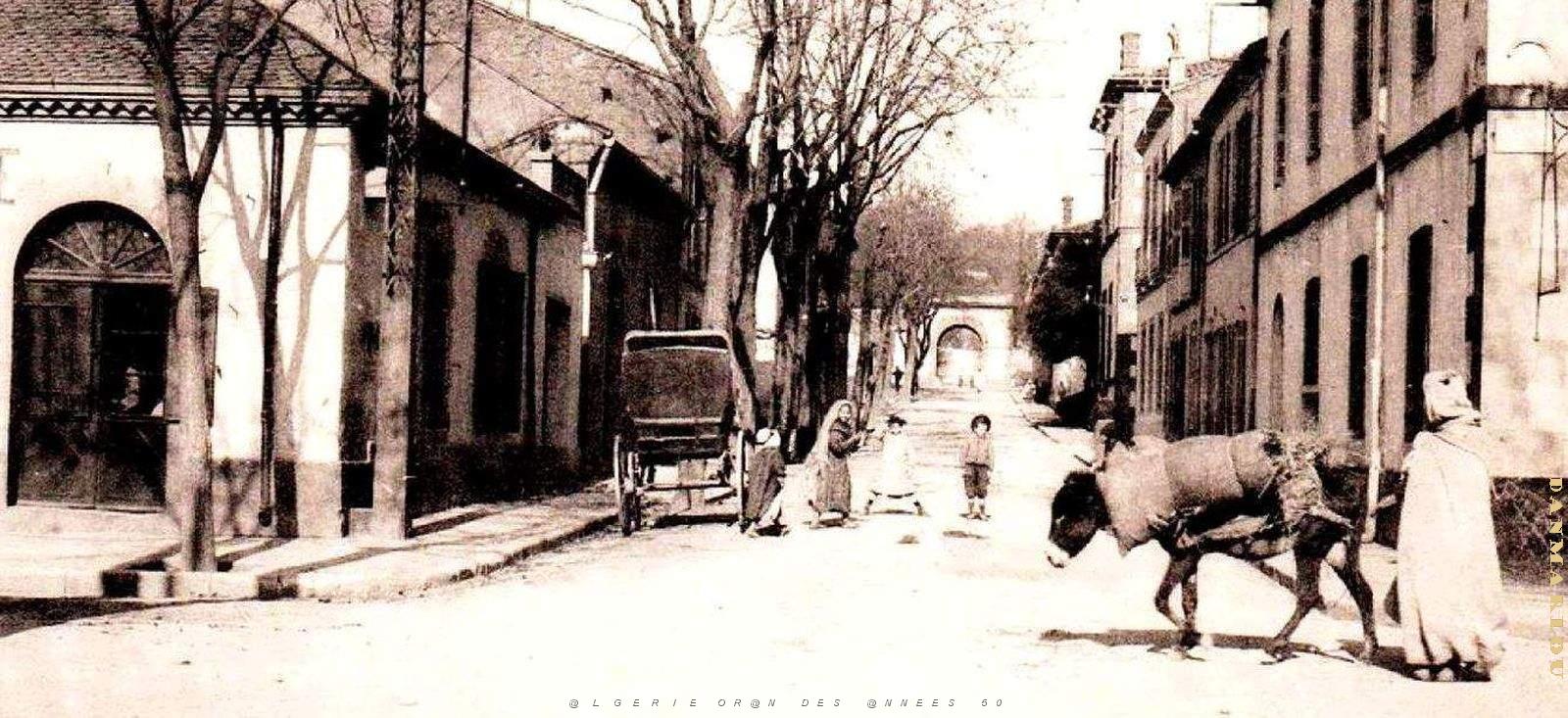 2543- Medea - Porte du Nador2.jpg